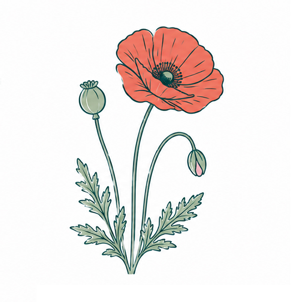 Frøpapir A5 | 120 g/m² - Billede 7