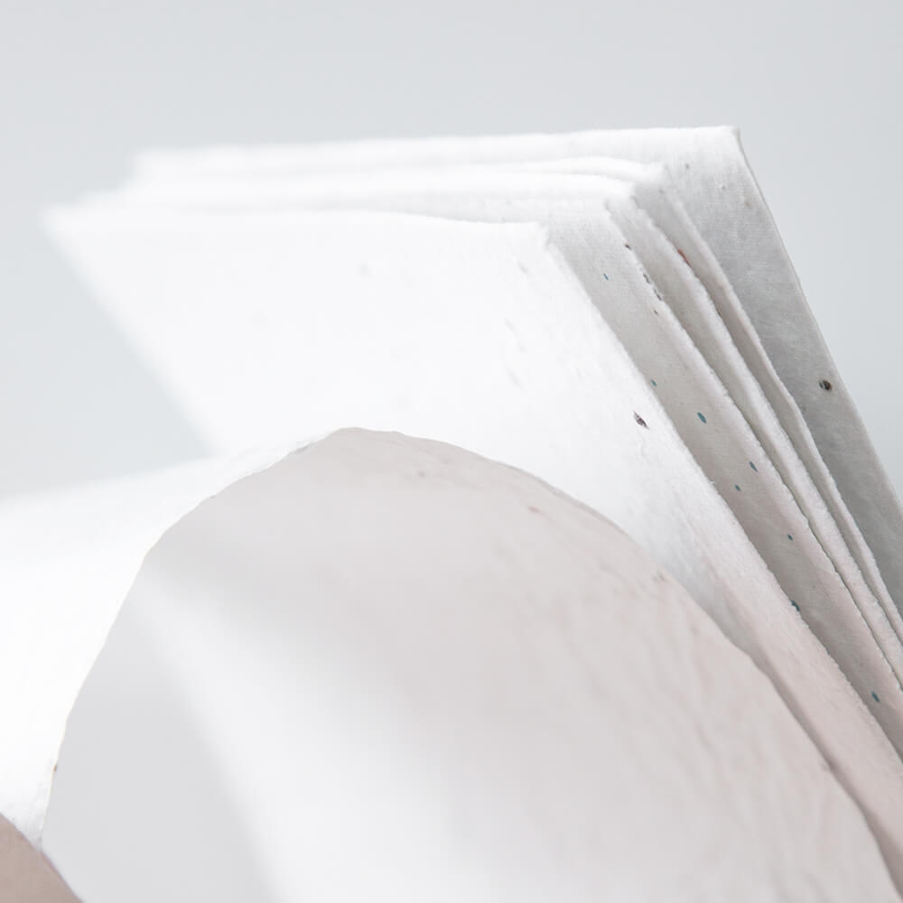 Frøpapir A5 | 200 g/m² - Billede 6