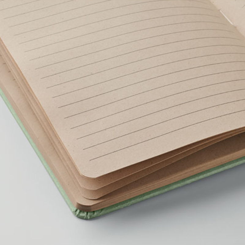 Notesbog af sukkerrør - Billede 2