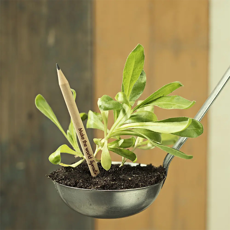 Sprout-blyant med frø - Billede 2