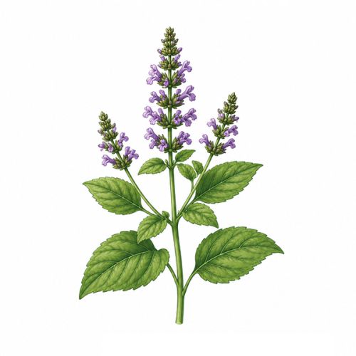 Spire flerfarvet blyant - Billede 14
