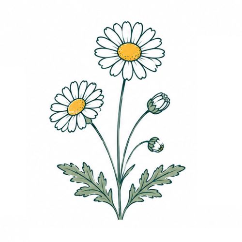 Frøpapir A5 | 120 g/m² - Billede 6