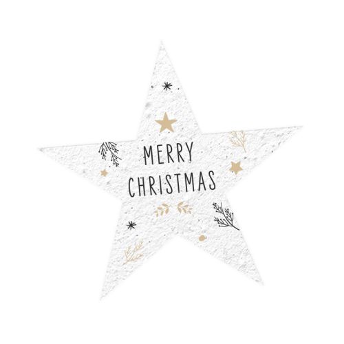 Fropapir stjerne - Billede 1