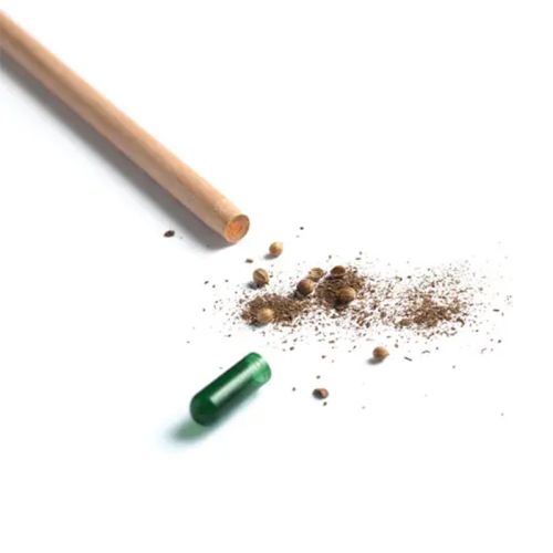 Sprout-blyant med frø - Billede 2