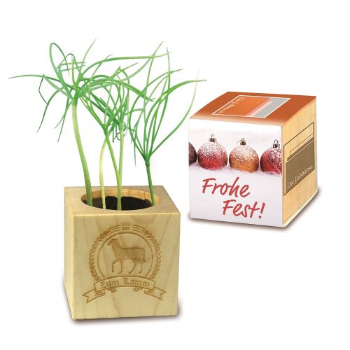 Plantesaet med omslag - Billede 3